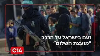 לתת לחתול לשמור על השמנת: זעם בישראל על הרכב מועצת השלום