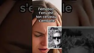 Pourquoi je suis ici ? #effondrement #collapsologie