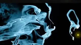 The Twists - (Sweet Dark) - F&aacute;bio F&eacute;lix