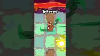 Pine Needler in PvZ3: Evolved!
