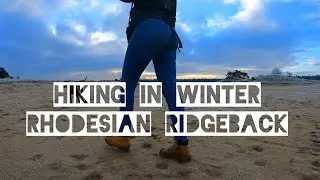 Hiking with dog in Winter [Rhodesian Ridgeback] 🌏