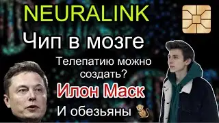 NEURALINK - ВСЁ, ЧТО НУЖНО ЗНАТЬ | Чип в мозге, расследования и история компании