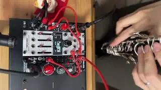 Clarinet x XAOC Timiszoara Journal 24Jul25: Reverb & Reverb2 Banks Full Demo