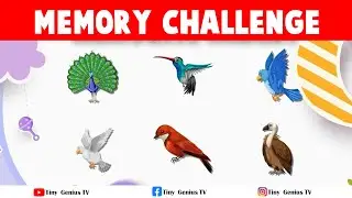 Fun Memory Game for Kids - Memorize and Match Images