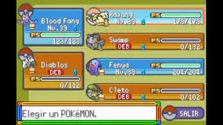 Pok&eacute;mon Esmeralda - Jefes - Vito y Leti