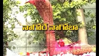 Keslapur Gets Ready for Nagoba Jatara - Adhilabad - 99tv