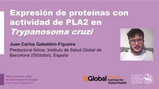 Expresi&oacute;n de prote&iacute;nas con actividad de PLA2 en T. cruzi - Juan Carlos Gabald&oacute;n-Figueira