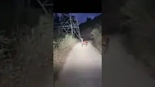 SkinWalker Caught Mid-Transformation?! #skinwalkers