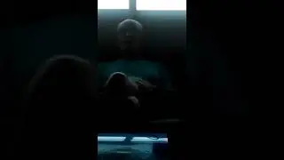 Papai amado