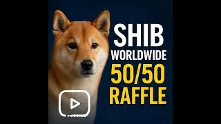 SHIB TV Live Broadcast Network, Happy New Years.#shib #newyears #live