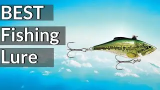 Best  Fishing Lure Reviews 2023 | Best Budget  Fishing Lure(Buying Guide)