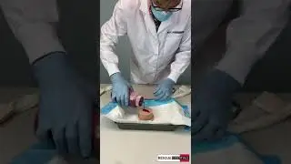 TrueClot Basic Packing Trainer (BPT) WET Packing Demo