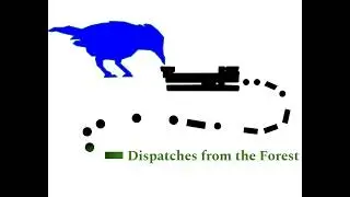 Dirt Dispatch #40