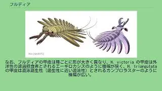 フルディア