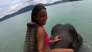 เล่นน้ำกับช้าง Swim with elephant at Phuket Thailand
