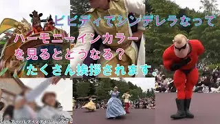 ビビディ・バビディ・ブティックでシンデレラになってハーモニーインカラーを鑑賞すると何人のキャラ＆キャストさんに、ご挨拶頂けるか数えてみました。