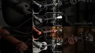 Gibson Bluebird VS J45 VS Elvis Dove VS Epiphone USA Texan #shortsvideo #shortsvideo #shorts