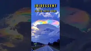 Shimmering like a rainbow? That&rsquo;s iridescent. 🌈 #LearnEnglish #ViralWords #TheOddWordOut