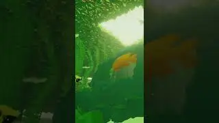 🐟 ABZ&Ucirc; PS4 Sale 🐟