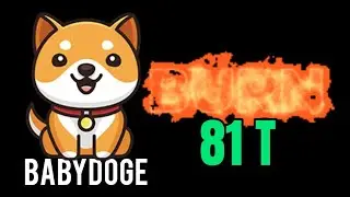#babydoge BURN 81T Token &uacute;ltima 24 Horas $300k