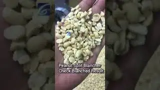 Peanut Split Blancher Check Blanched Result | Peanut Machines for Nuts Snacks Factories