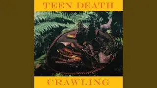 I'm Crawling