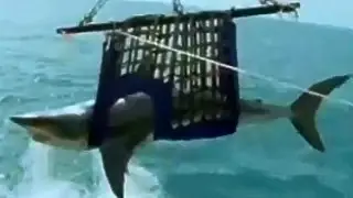 John West Tuna Snack Pots The Surprise TV Commercial HD