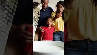snake drinking milk people surprise #pune #travelblog #funny #love #arijitsingt #traffic