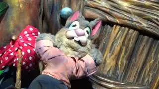 Splash Mountain POV Ride Thru before Tiana's Bayou Adventure Retheme