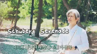 슈베르트 세레나데 Schubert: Serenade 플루트연주