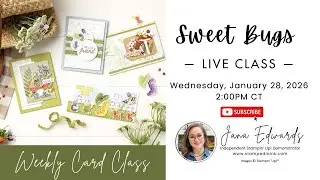 Sweet Bugs Card Class | DIY Handmade Cards - Stampin' Up! Products