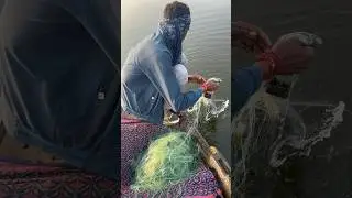 बिग फिश नेट फिशिंग 🤗😃 #shortsfeed #bigfish #fishing #video