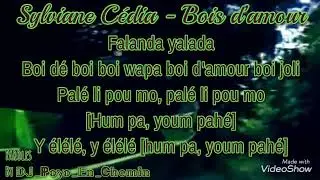 ⁠21. @sylvianecedia8526 @cediasylviane5314  - Bois d&rsquo;amour - Paroles karaok&eacute;