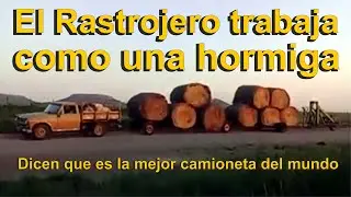 LOS RASTROJEROS TRABAJAN COMO HORMIGAS Marcelo Alberto Sosa va al campo a diario