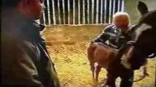 Learning Intelligent Horsemanship with Kelly Marks(Part One)