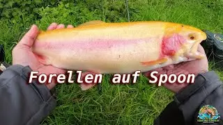 Teamangler Bj&ouml;rn unterwegs: Forellenjagd am Friesenweiher mit handlackierten Spoons!