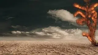 AUEL - WASTELAND EP [Music Video]