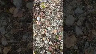 Cut boring rock number 91 into two boring rocks #boringrocks #boring #rocks