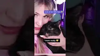 “i’m NOT an owl” | #shorts #gamergirl #catlover