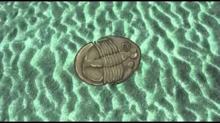 Trilobit