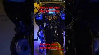 Factory color matched parts  ledsnbaggs.com #harleydavidson #ledsnbaggs #eddiebyrd #shorts #vlog