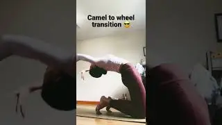 Trying my camel to wheel transition #yoga #fyp #trending #transition