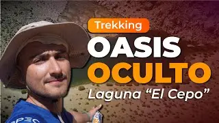 Oasis Oculto en el Valle del Elqui - La Laguna 