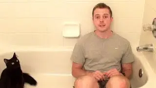 Ice Bucket Challenge! - CAT EDITION