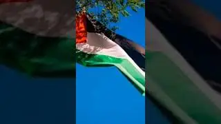 Free Palestine and Spread Awareness #gaza #palestine