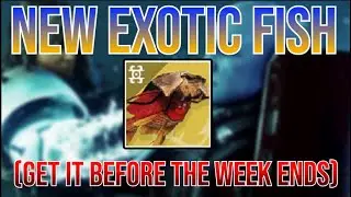 Destiny 2: Another NEW EXOTIC FISH Is Now Available, Get It BEFORE The Week Ends (Vexing Placoderm)