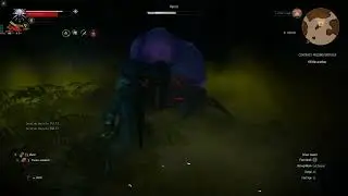 The Witcher 3: Kill the Arachas &ndash; Missing Brother