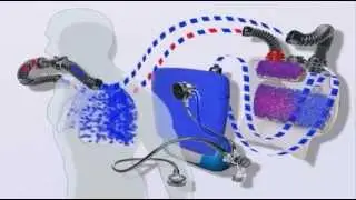 The Dolphin SCR Rebreather