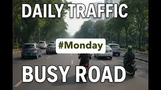 Daily Traffic on a Busy Road | Cars and Motorbikes Passing by in Real Life