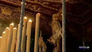 Nuestra Señora de los Dolores de Santa Cruz, Semana Santa Sevilla 2019